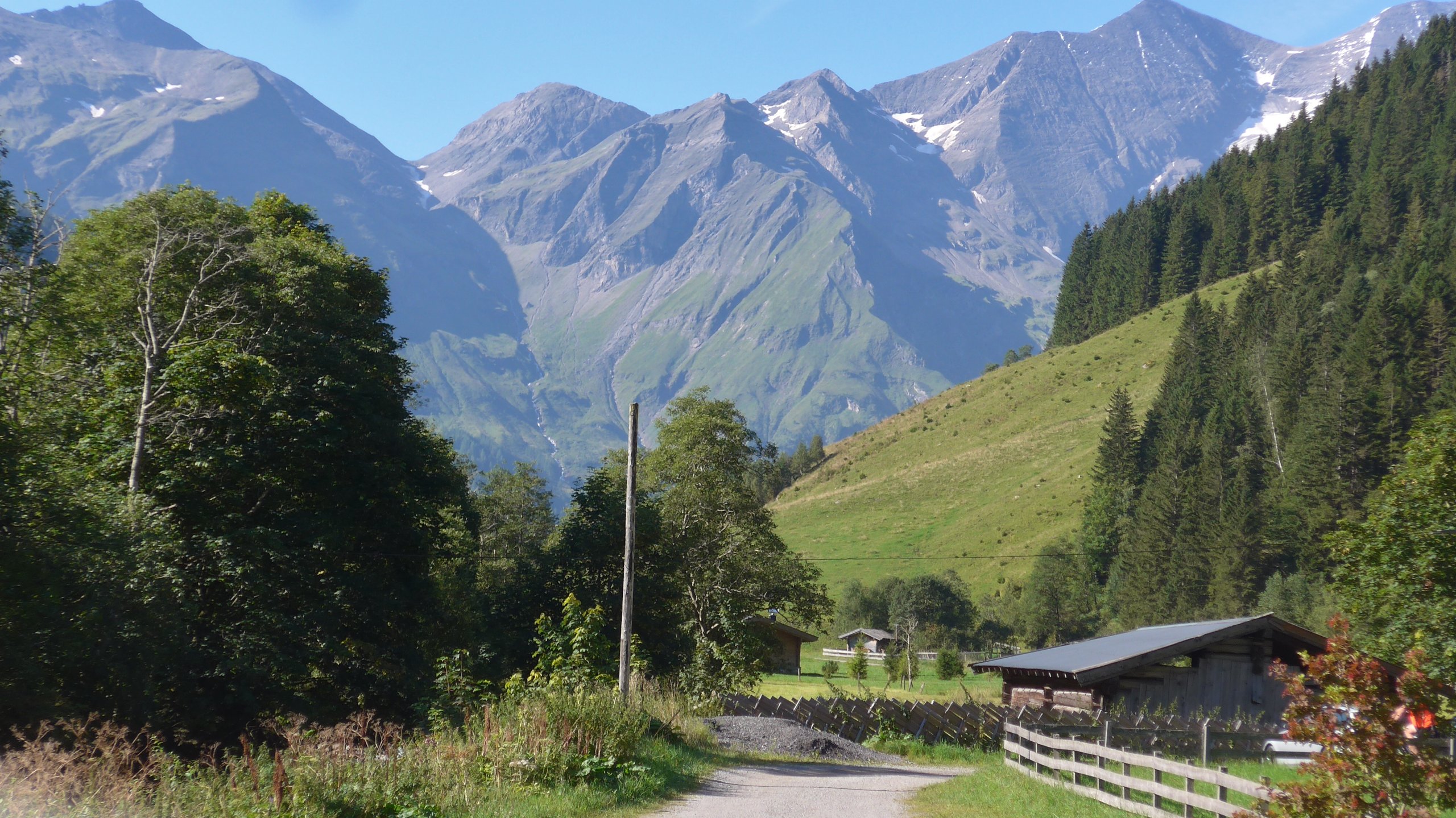 Blick nach Süden ins Käfertal